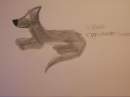 Eyvind