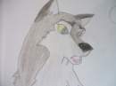 Aleu