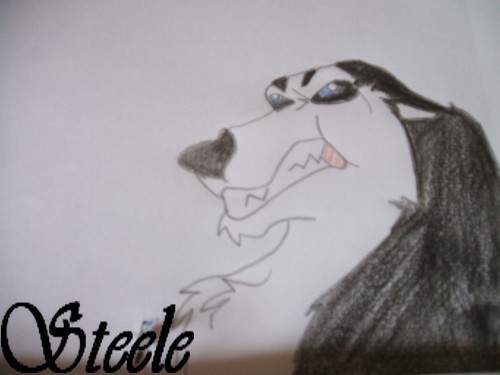 Steele