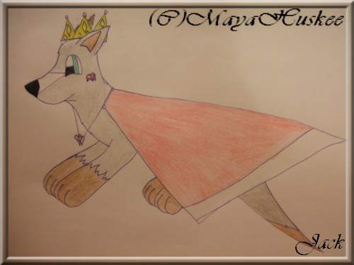 A picture of Jack for MayaHuskee
