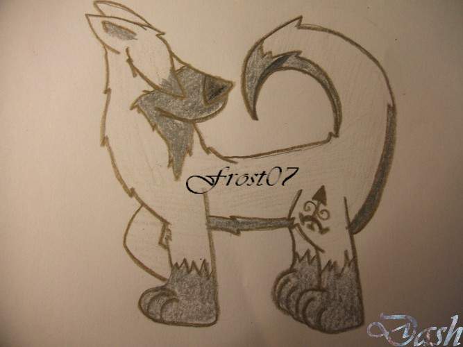 Dashy!!