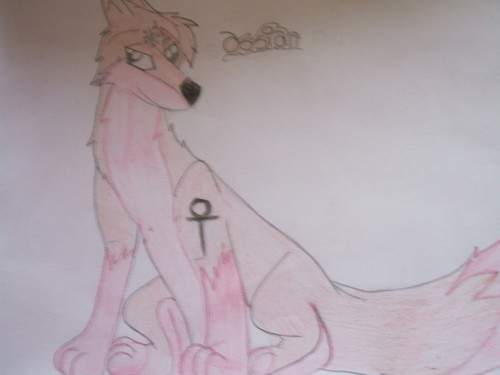 Ossion