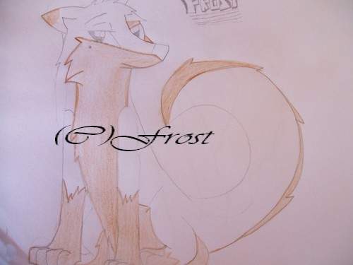 me Frost ^^