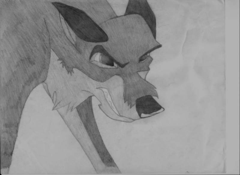 Balto crouching