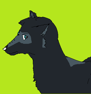 Im...DRAWING again?