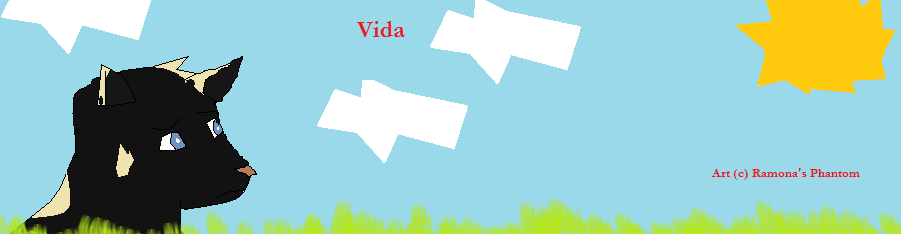 Vida