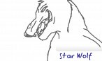Star Wolf