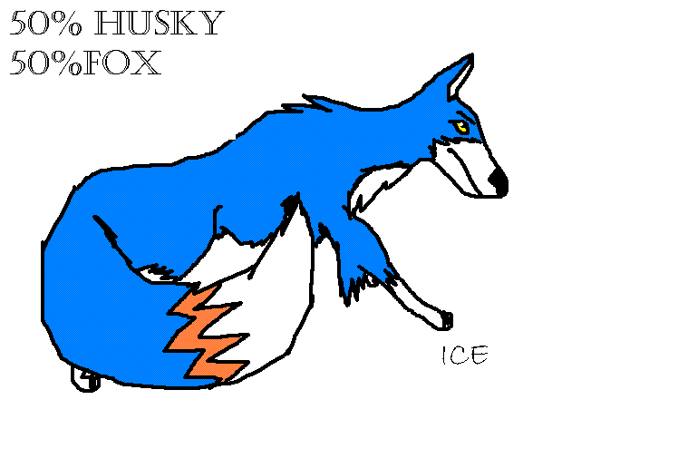 Ice