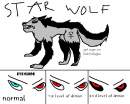Star Wolf's curret look