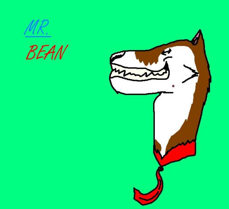 mr. bean XD