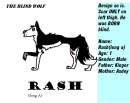 Rash