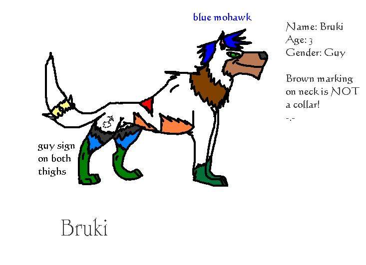 Bruki
