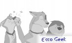 Ecco Geek