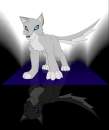 Xinal [Wolf]