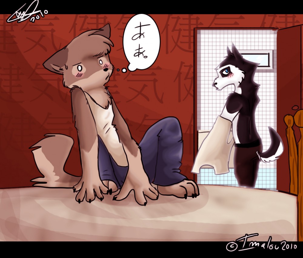 balto and steele are furries. YAY