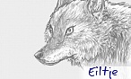 eiltje