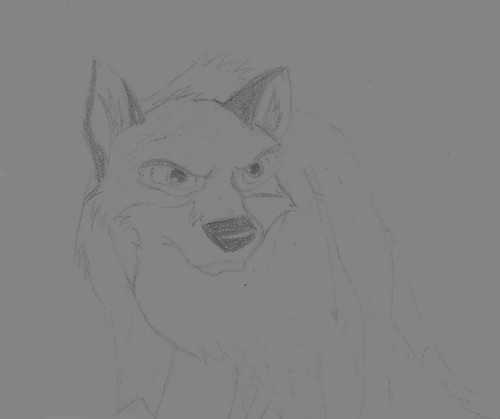 A drawing of Balto (A)