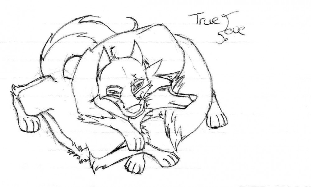 Balto&Jenna the true love.. .Sketch.