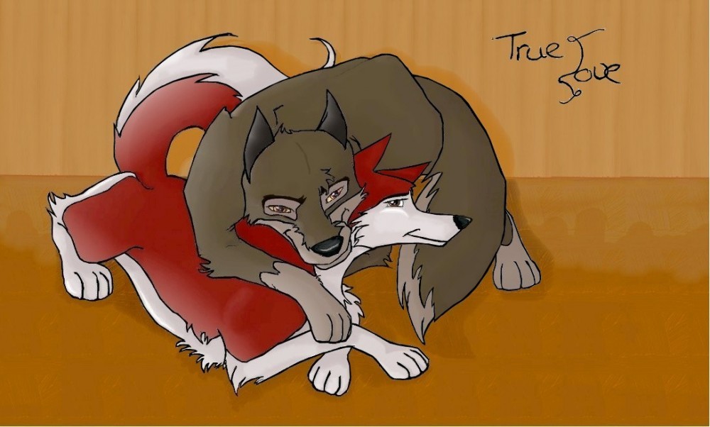 Balto and Jenna true love