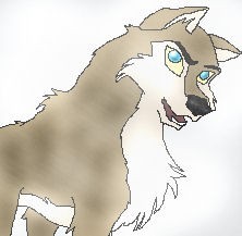 Aleu in a snowstorm.