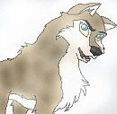 Aleu in a snowstorm.