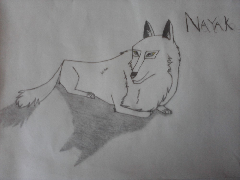 Nayak