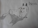 Nayak