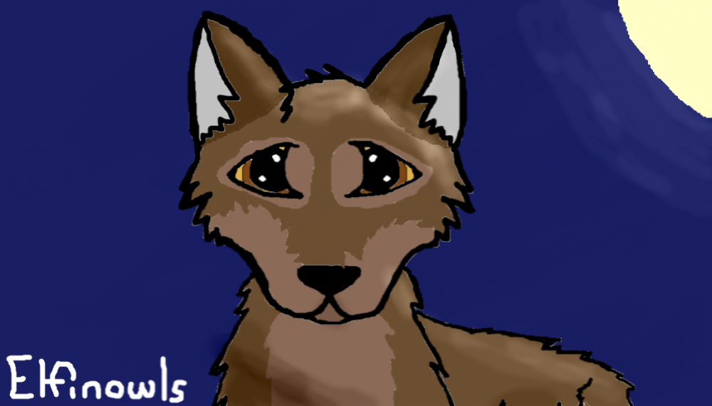 Balto