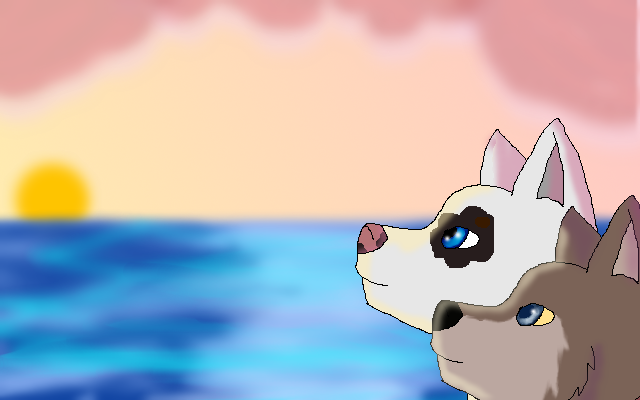 Connor's Beach Day
