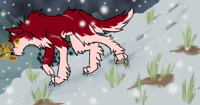 In the snow redone