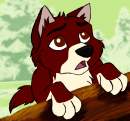 Carmin coloured