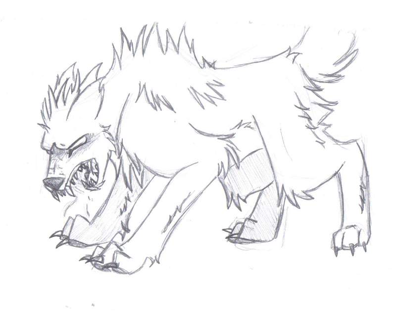 crazy wappy sketchy