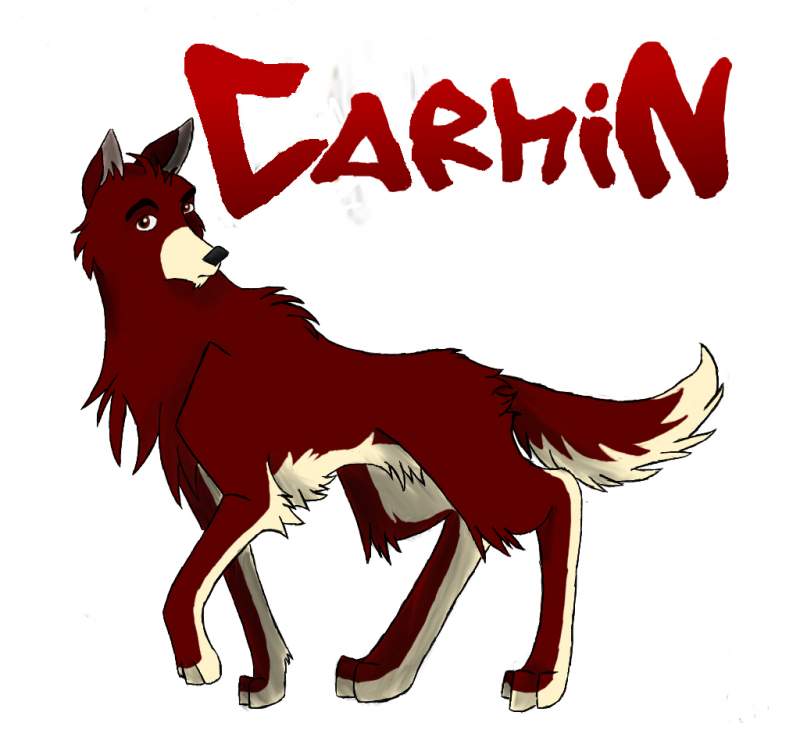 Carmin all grown upped