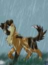 My fursona and character: Natuk