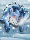 For Artic Wolf