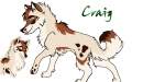 For I AM ALEU THE WOLF's contest