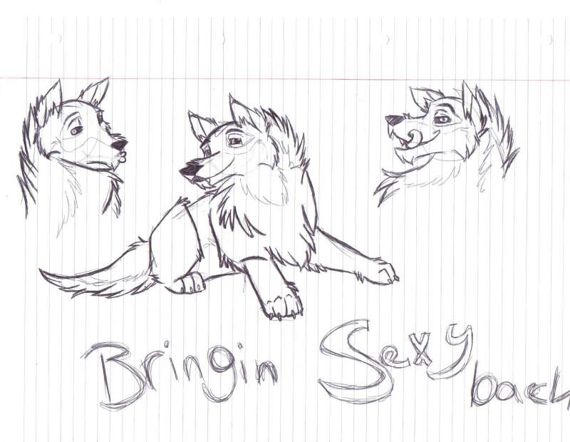 Bringin Sexy Back