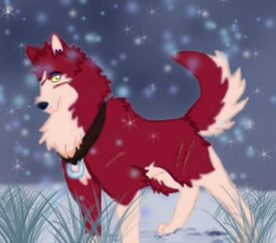 In the Snow-Wapasha