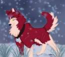 In the Snow-Wapasha