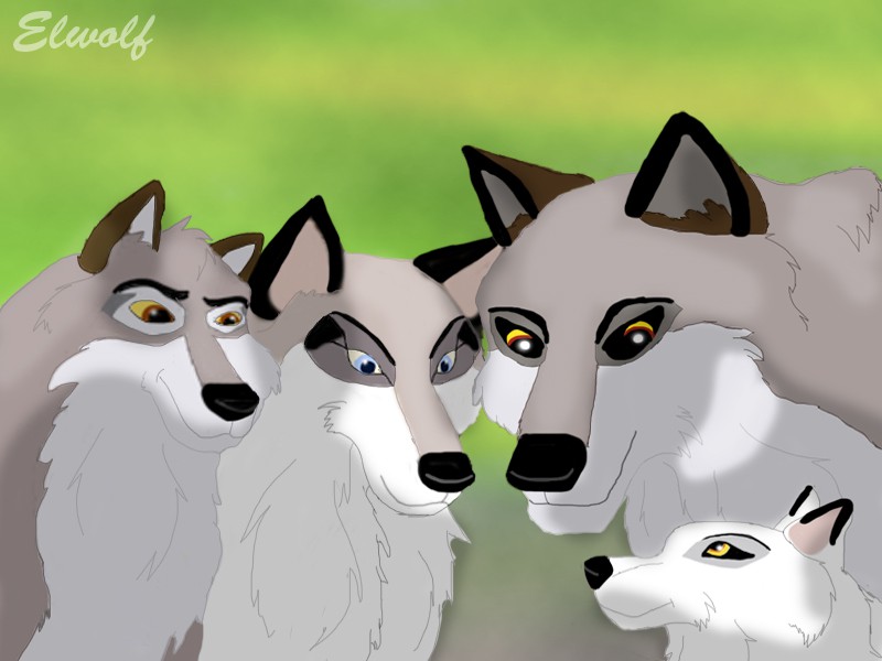 Aniu's family