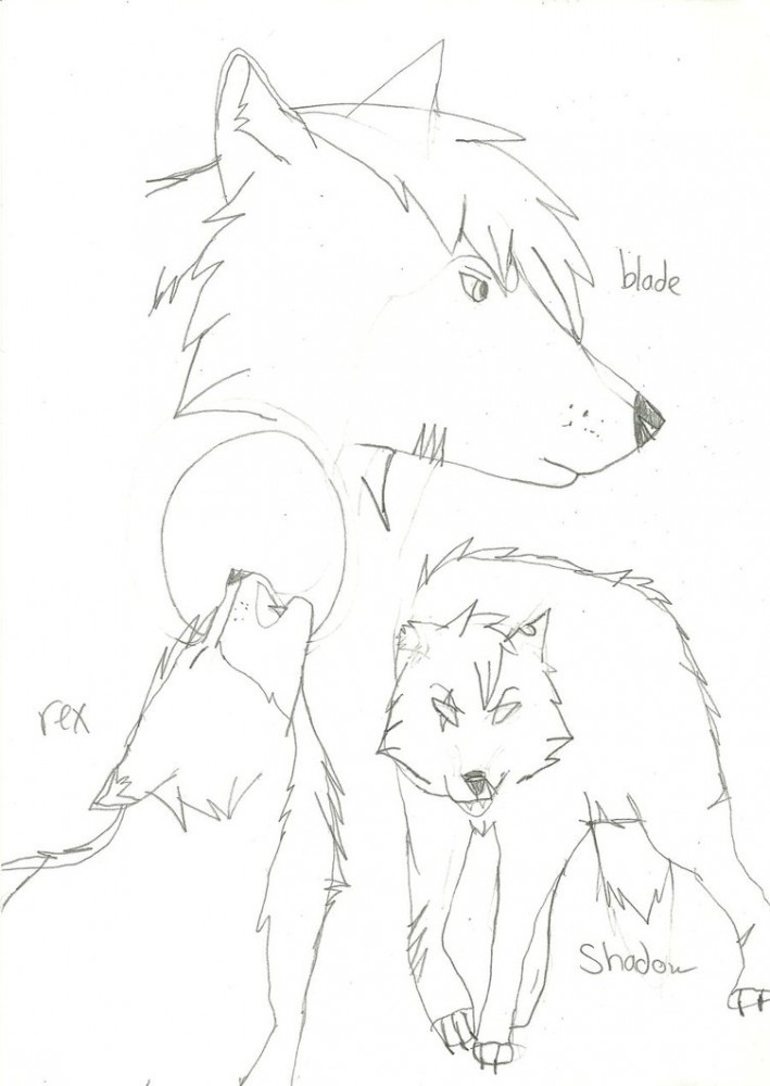 Doodle dump