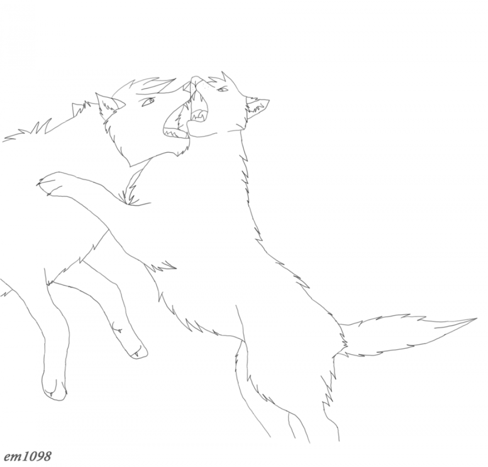 Two male wolves fighting lineart