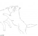 Two male wolves fighting lineart