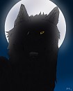 Shadow