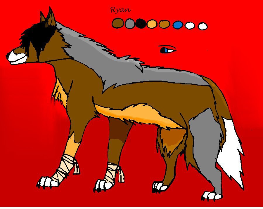 New character ryan