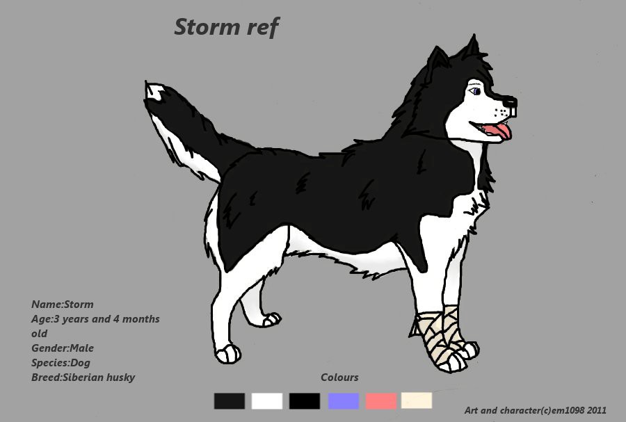 Storm