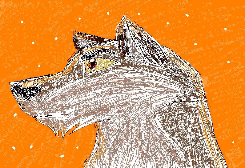 Balto