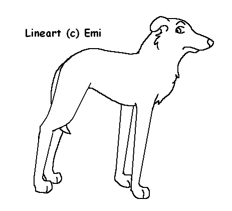 Lineart: Whippet