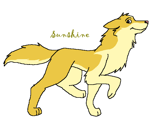 Sunshine!