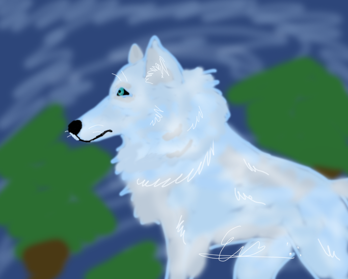 Wolf Practise